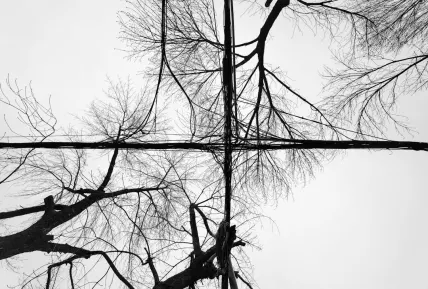 Crystal Cazino Cazinou Aplicație mobilă